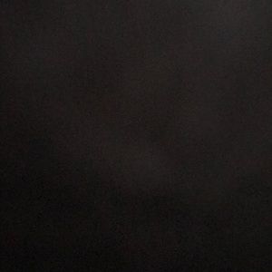 Meet your Posher, Demi